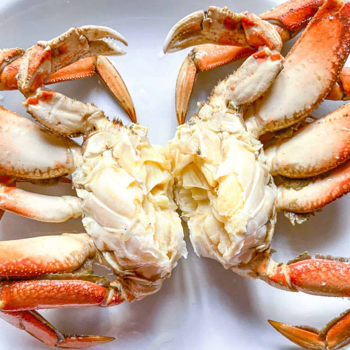 Cooked Dungeness Crab