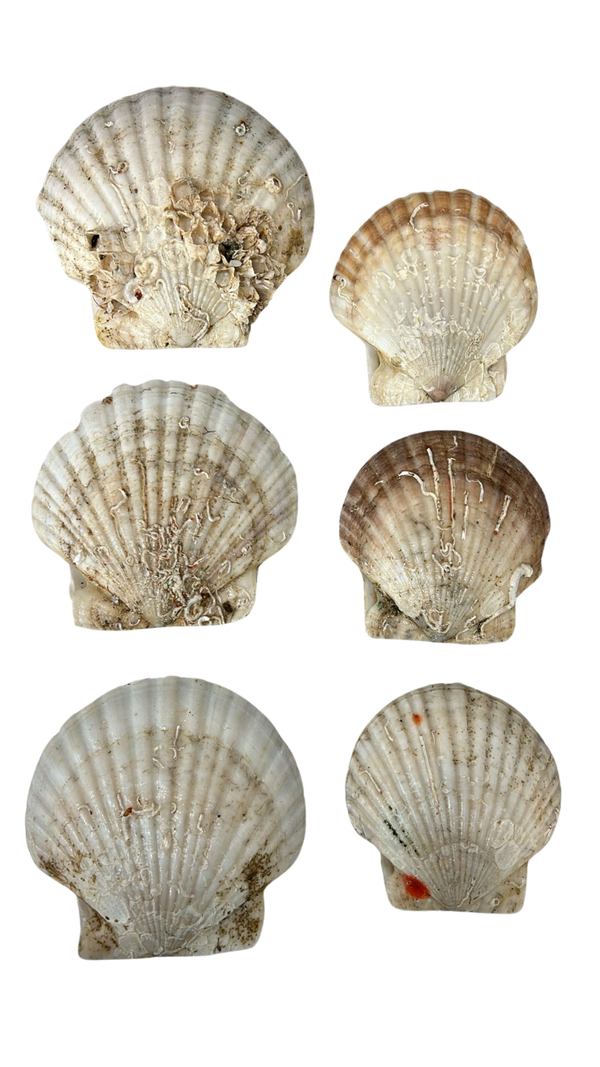 1 / Small