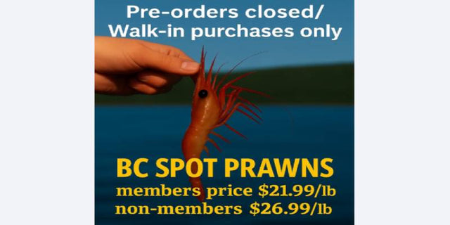2025 BC Spot Prawns *Season Closed*