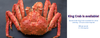 King Crab 2025
