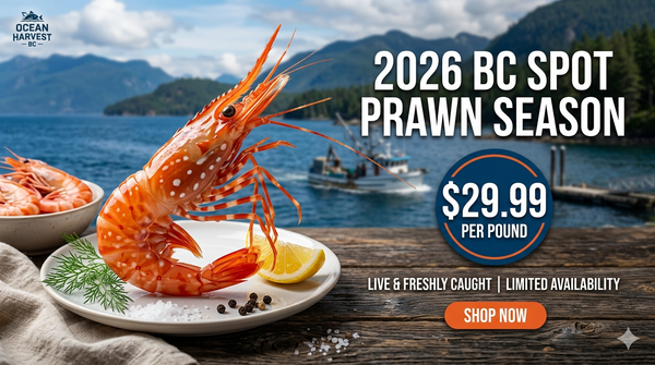 Spot Prawn Pre Order 2026