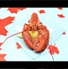 Canada Day Combo ONLY JULY FIRST!