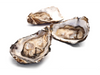 Small Beach Oyster