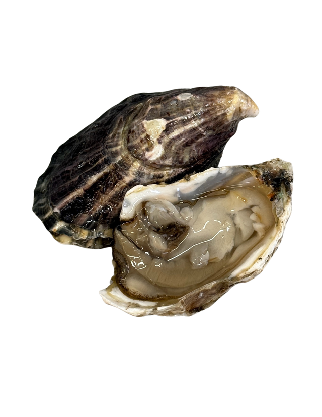 Royal Miyagi Oyster