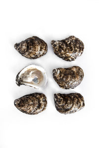 Irish Point Oysters - Available