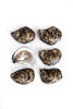 Irish Point Oysters - Available