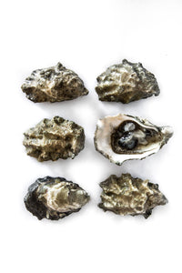 Okeover Organic Oyster