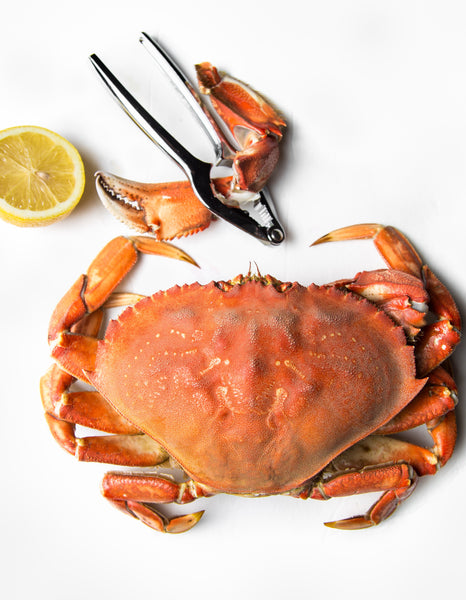 Cooked Dungeness Crab
