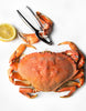 Cooked Dungeness Crab