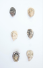Kusshi Oyster