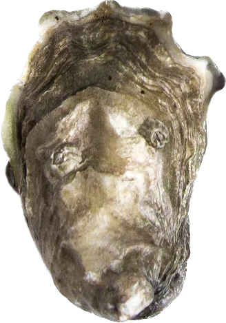Lighthouse Oyster