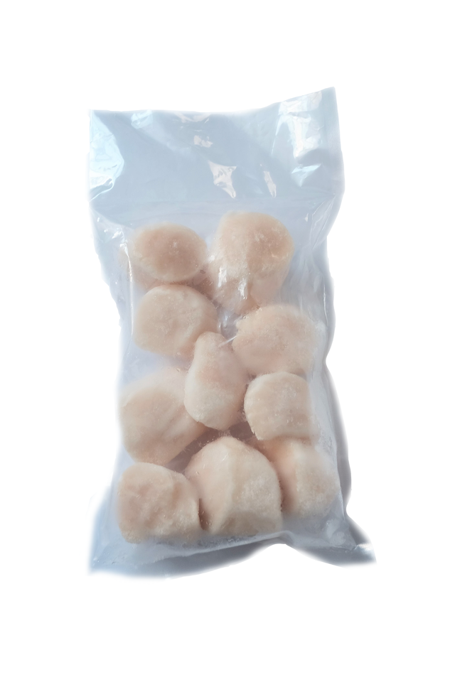 IQF Scallop Meat